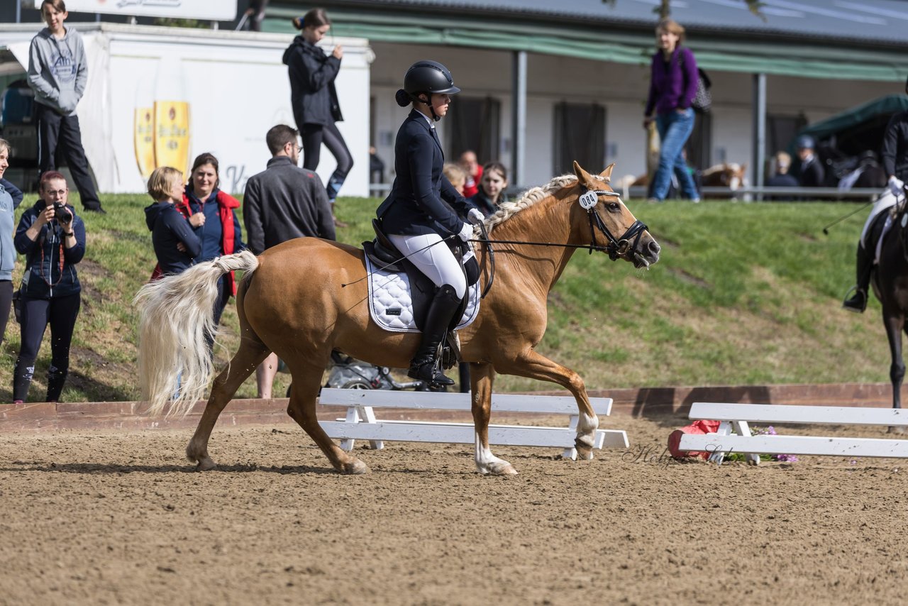 Bild 240 - Pony Akademie Turnier